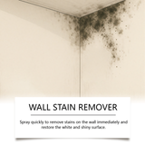 Highly Effective Mold Removal Spray - Prevents Mold Regrowth(240ml)