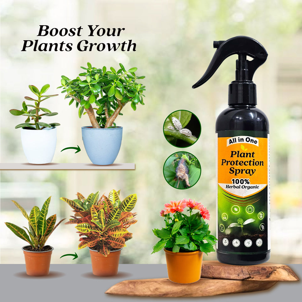 All in One Plant Protection Spray(BUY 1 GET 1 FREE)