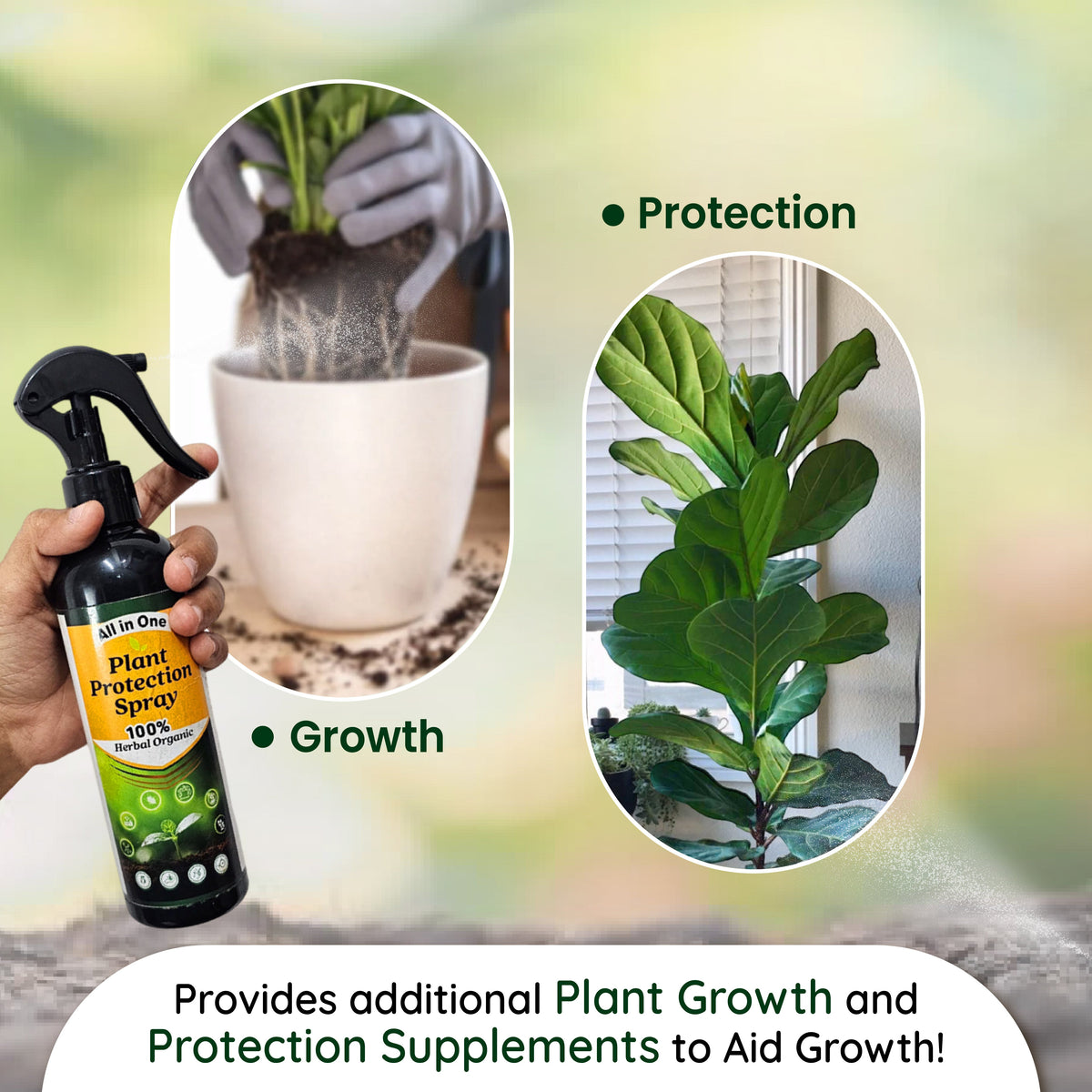 All in One Plant Protection Spray(BUY 1 GET 1 FREE) – Pakdesigns