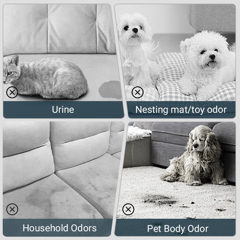Pet Stain & Odor Removal Spray - 500ml