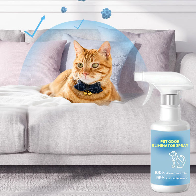 Pet Stain & Odor Removal Spray - 500ml