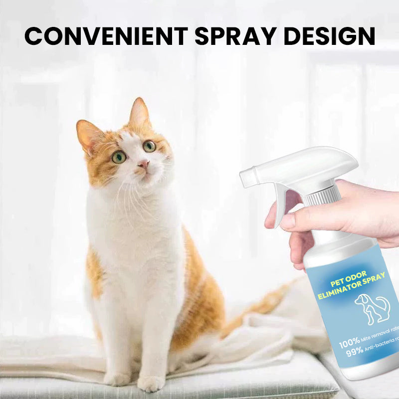 Pet Stain & Odor Removal Spray - 500ml