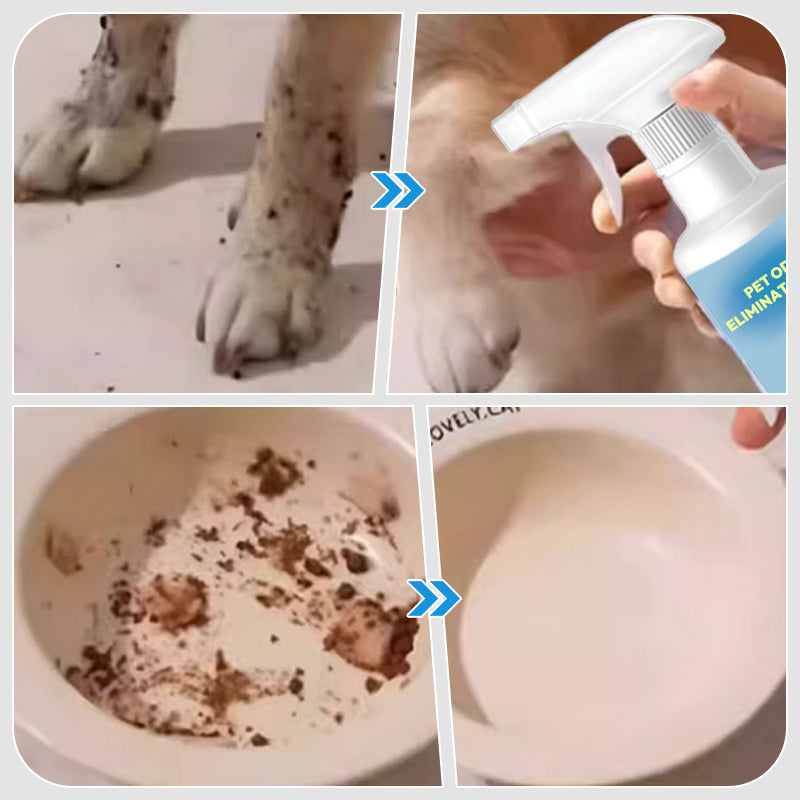 Pet Stain & Odor Removal Spray - 500ml